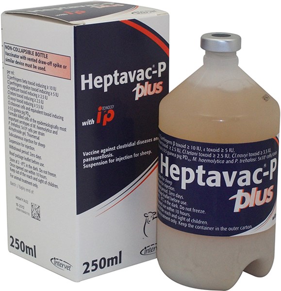 Heptavac P Plus 250ml