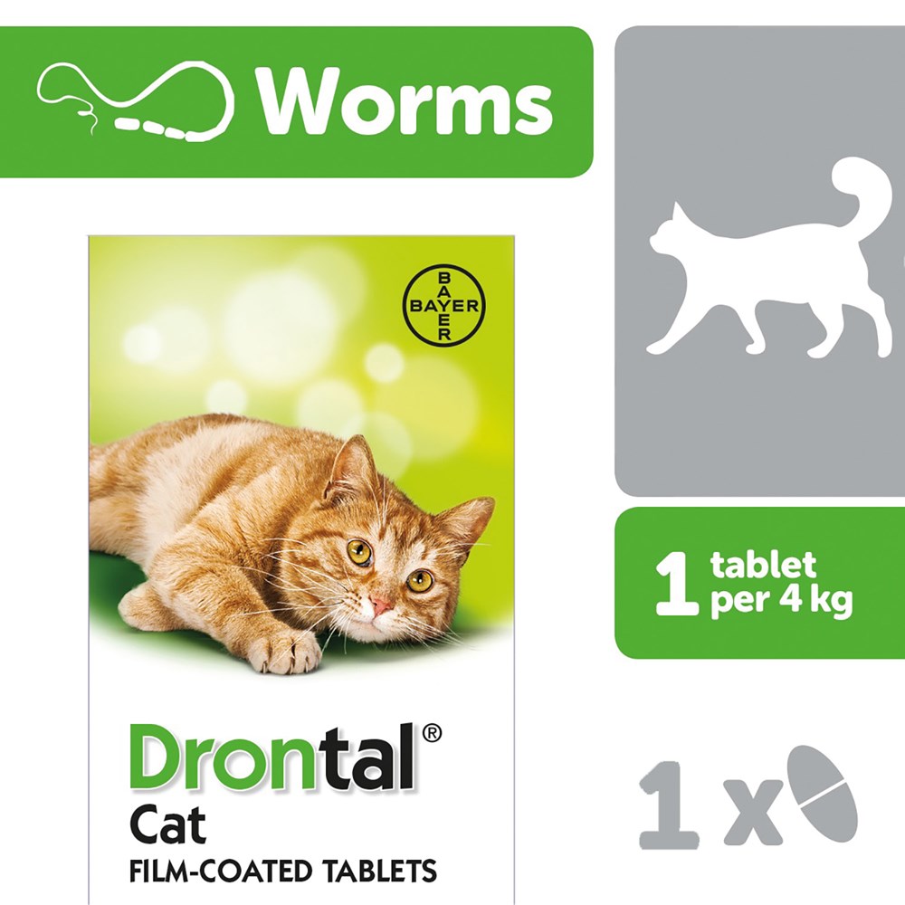 Drontal Cat Worming Tablet