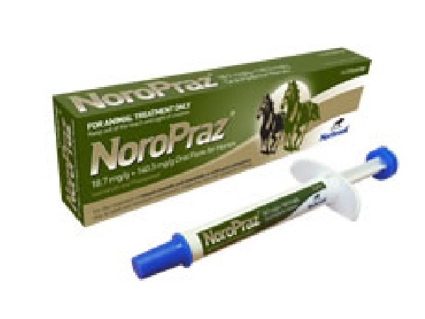 Noropraz Oral Paste For Horses