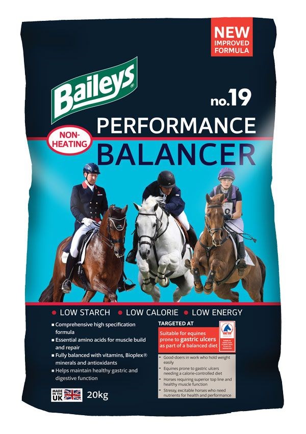 Baileys No 19 Performance Balancer 20kg