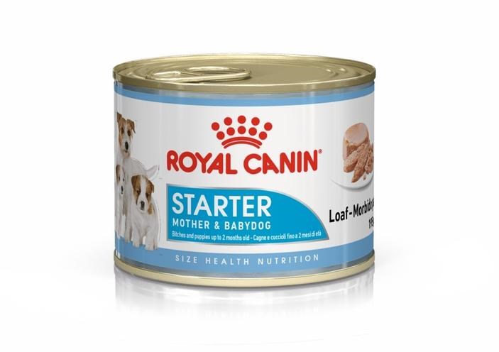 Royal Canin Starter Mousse 12 x 195g