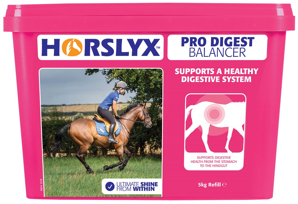 Horslyx Pro Digest Balancer Lick - 5kg