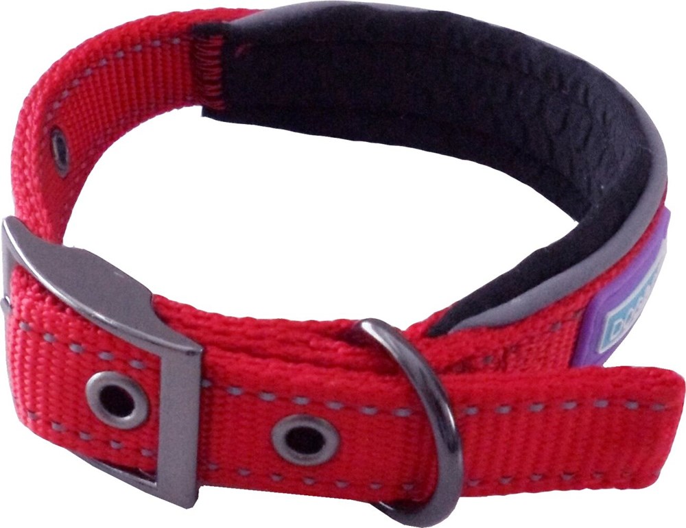 Relfelctive & Padded Collar Red Small
