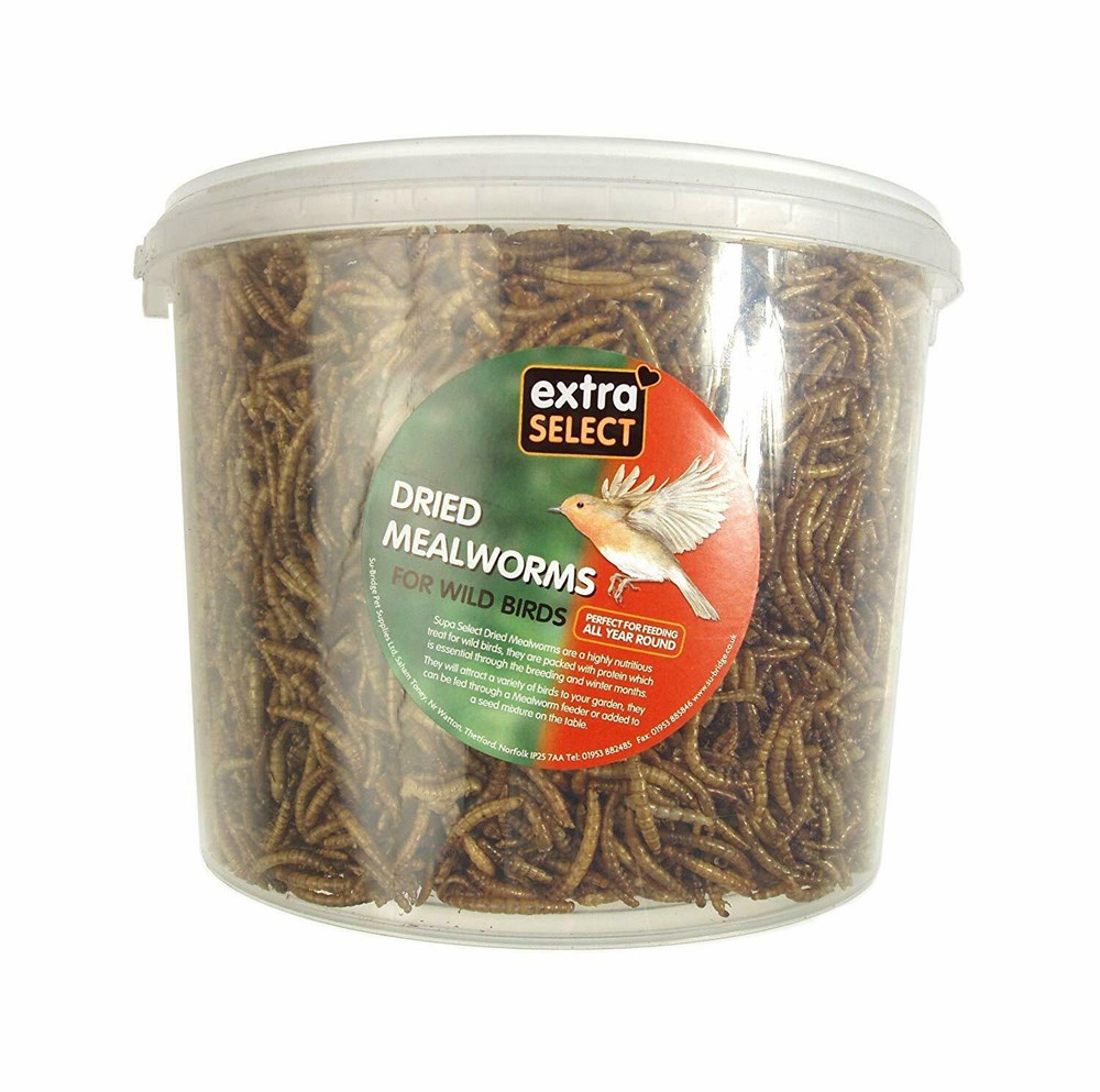 Extra Select Mealworms 3L