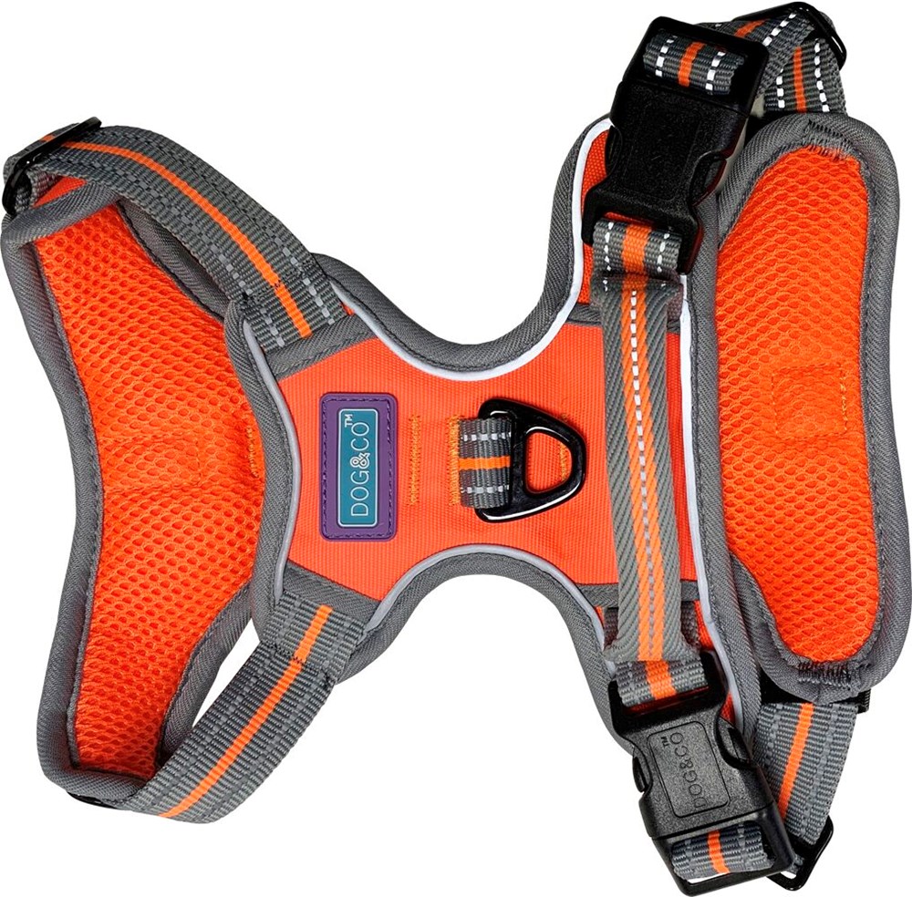 Sports Harness Large Orange