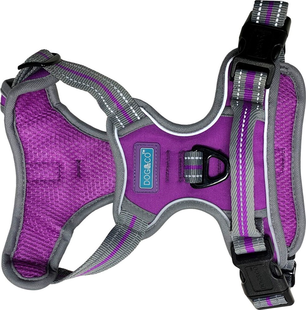 Sports Harness Large Purple