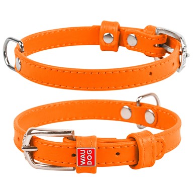 Dog Leads and Collars
