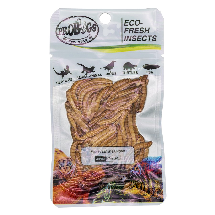 Probugs Eco Fresh Mealworm 20g