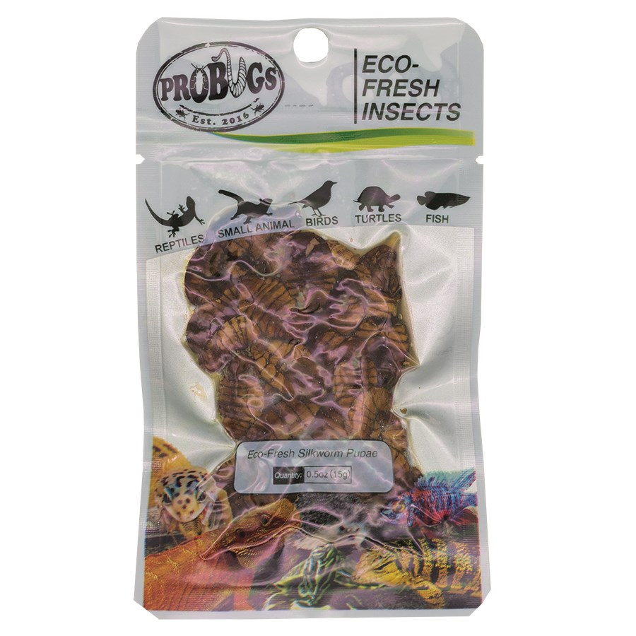 Probugs Eco Fresh Silkworm Pupae 15g