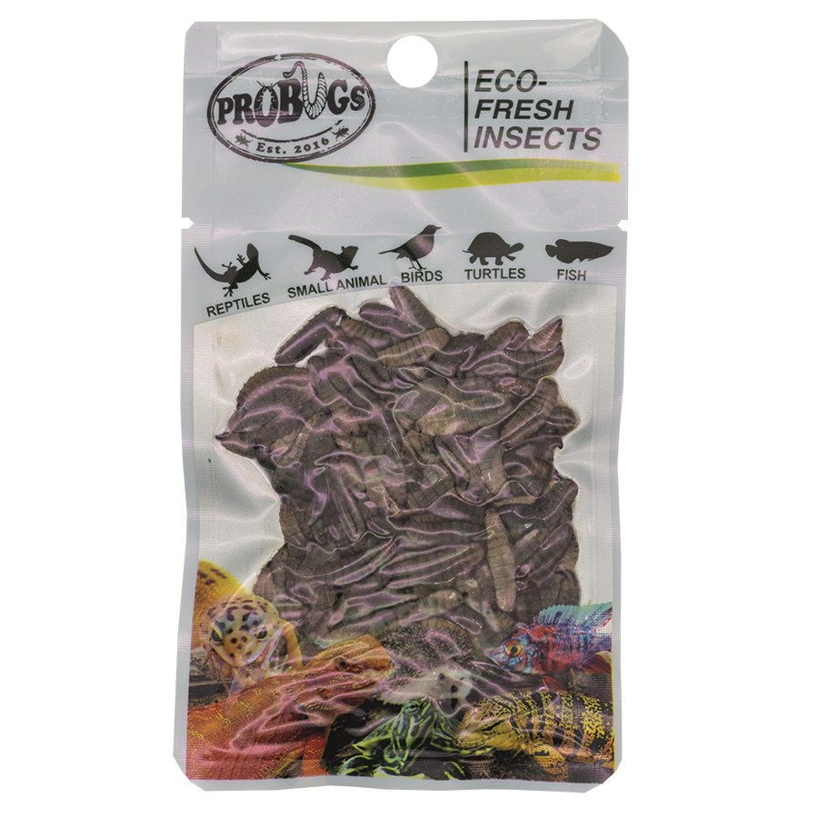 Probugs Eco Fresh B/Soldier Fly Larv 20g