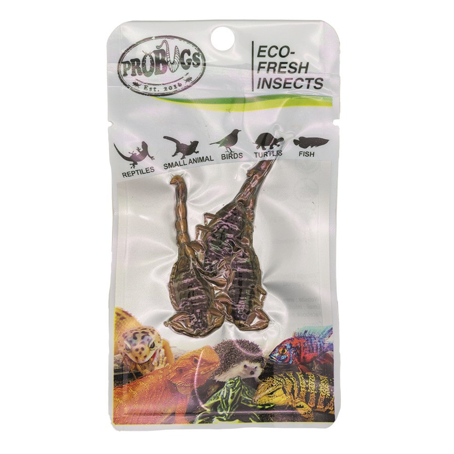 Probugs Eco Fresh Scorpion 3 Pack