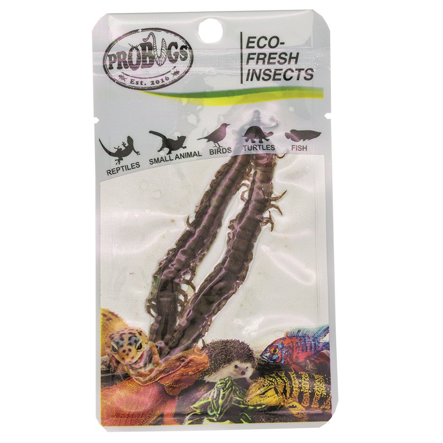 Probugs Eco Fresh Centipede 2 Pack