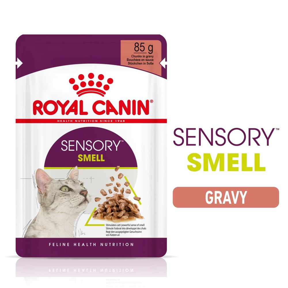Royal Canin Sensory Smell In Gravy Adult Wet Cat Food 12 x 85g