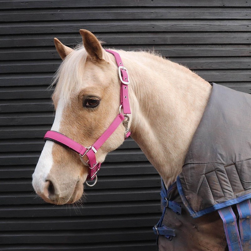 Luxury Padded Headcollar Pony - Pink