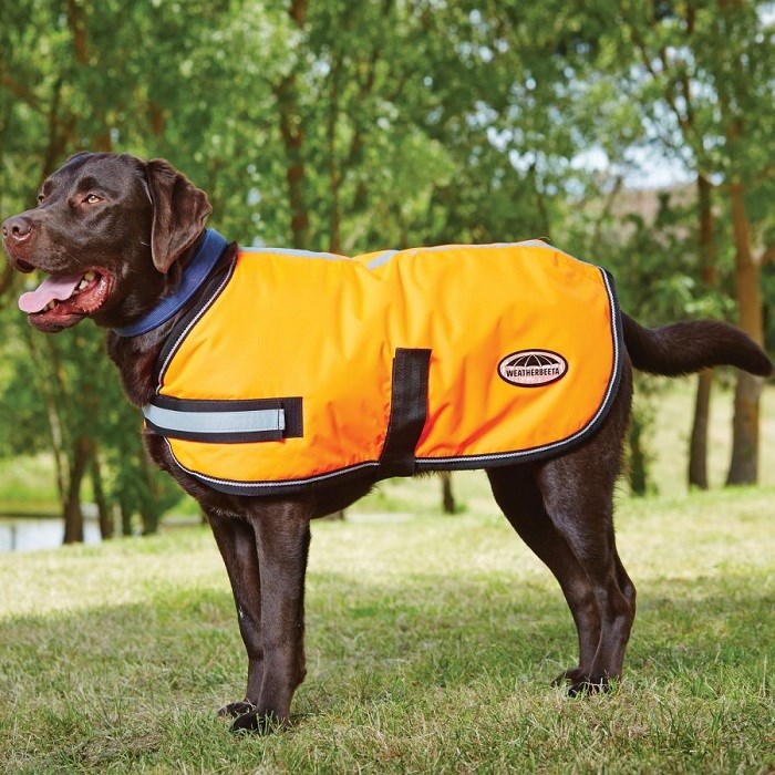 Weatherbeeta Reflective Dog Coat Orange 35CM