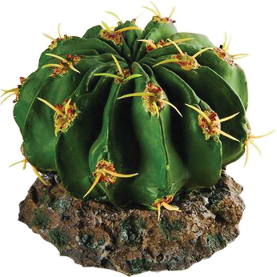 RS Cactus with Rock Base 9.5 x 9.5 x 7cm