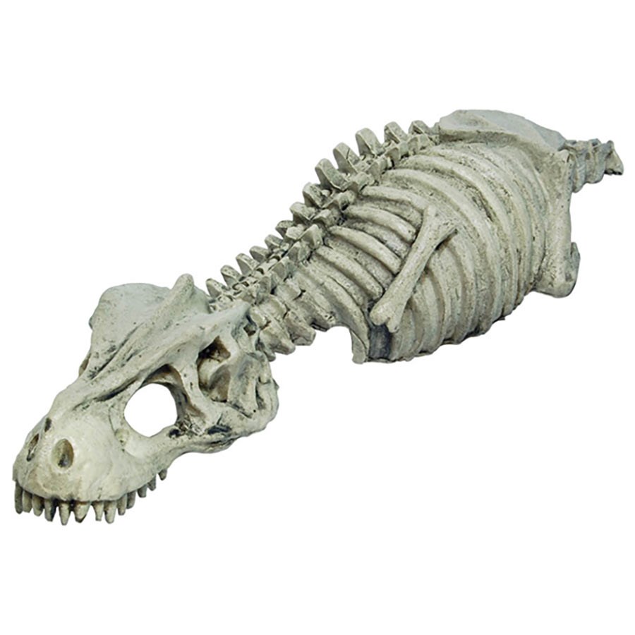 RS Skeleton Dinosaur 27 x 8 x 4cm