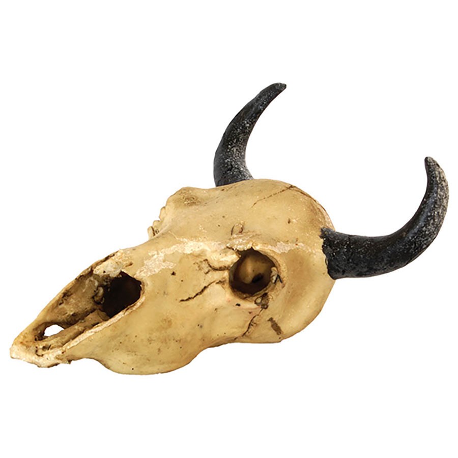 RS Skull Goat 17 x 16.5 x 10cm