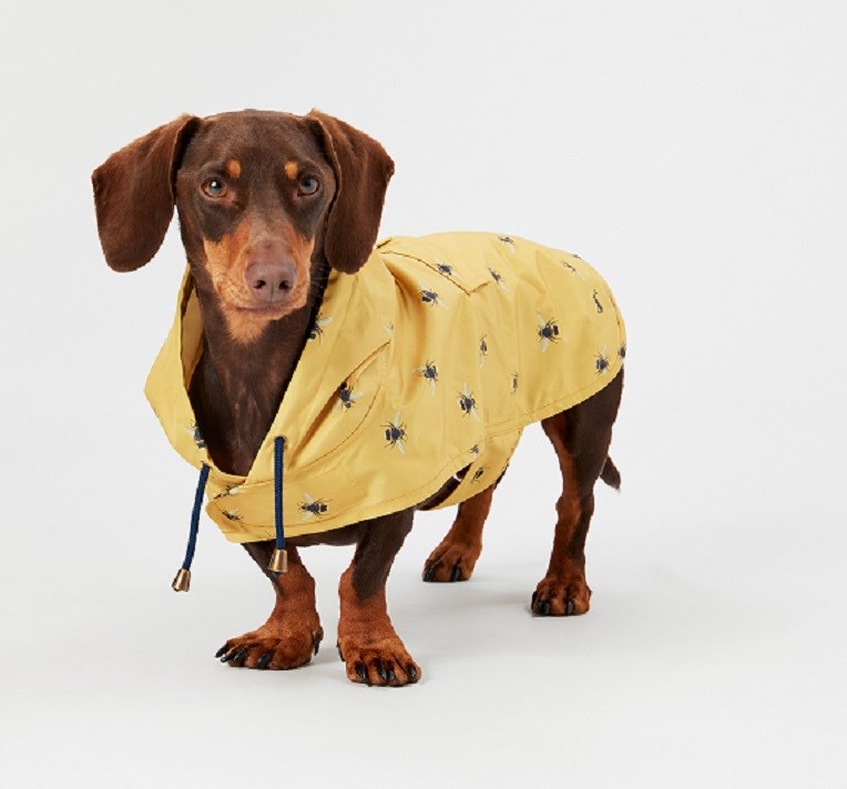 Joules GoLightly Water Resistant Packaway Dog Jacket - Small
