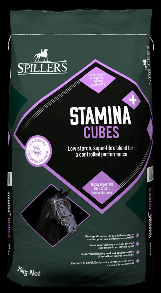 SPILLERS Stamina+ Cubes 20kg