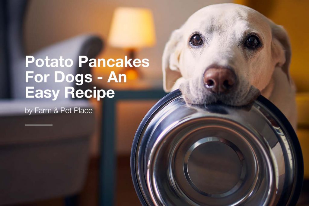 Potato Pancakes for Dogs - An Easy Recipe