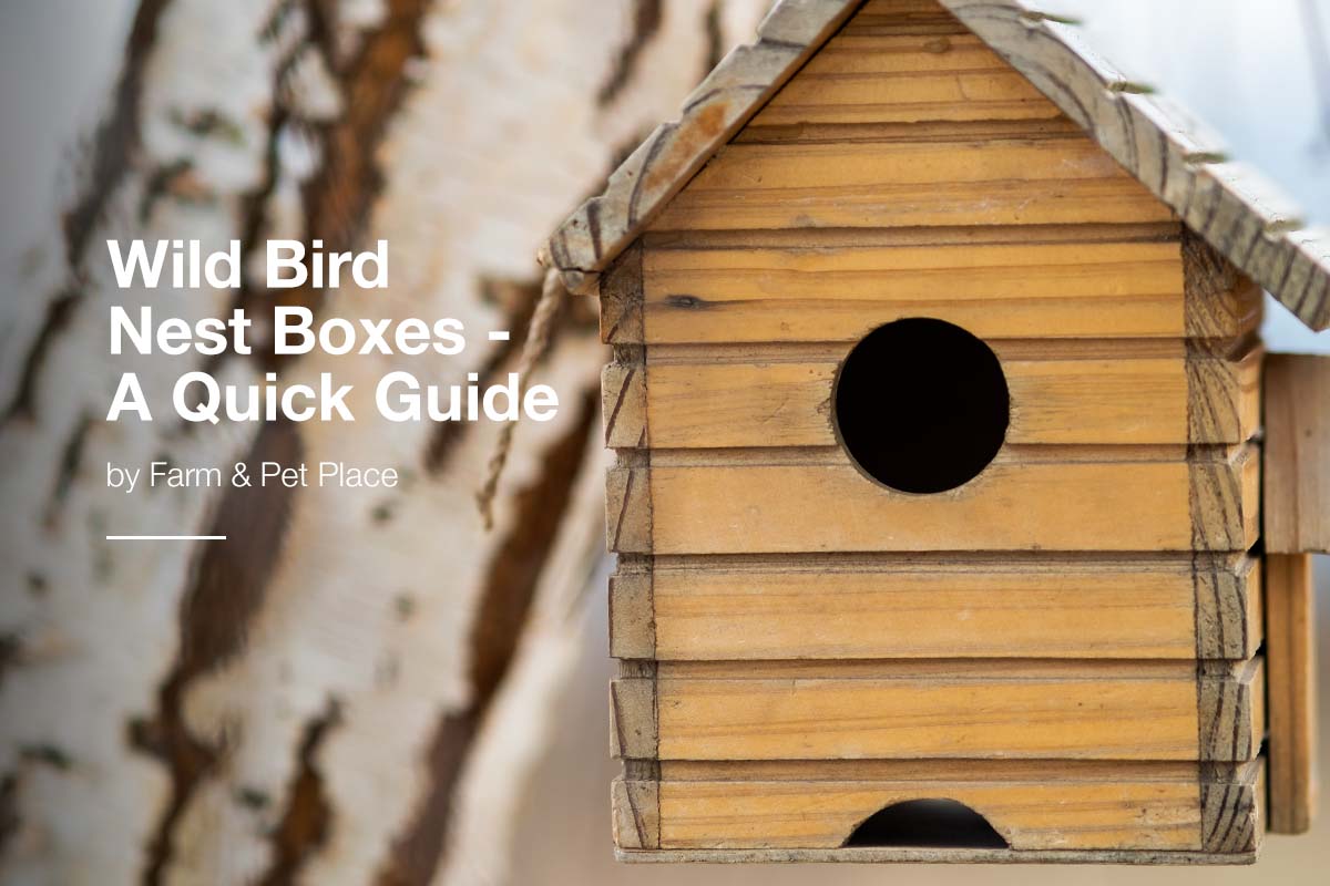 Wild Bird Nest Boxes - A Quick Guide