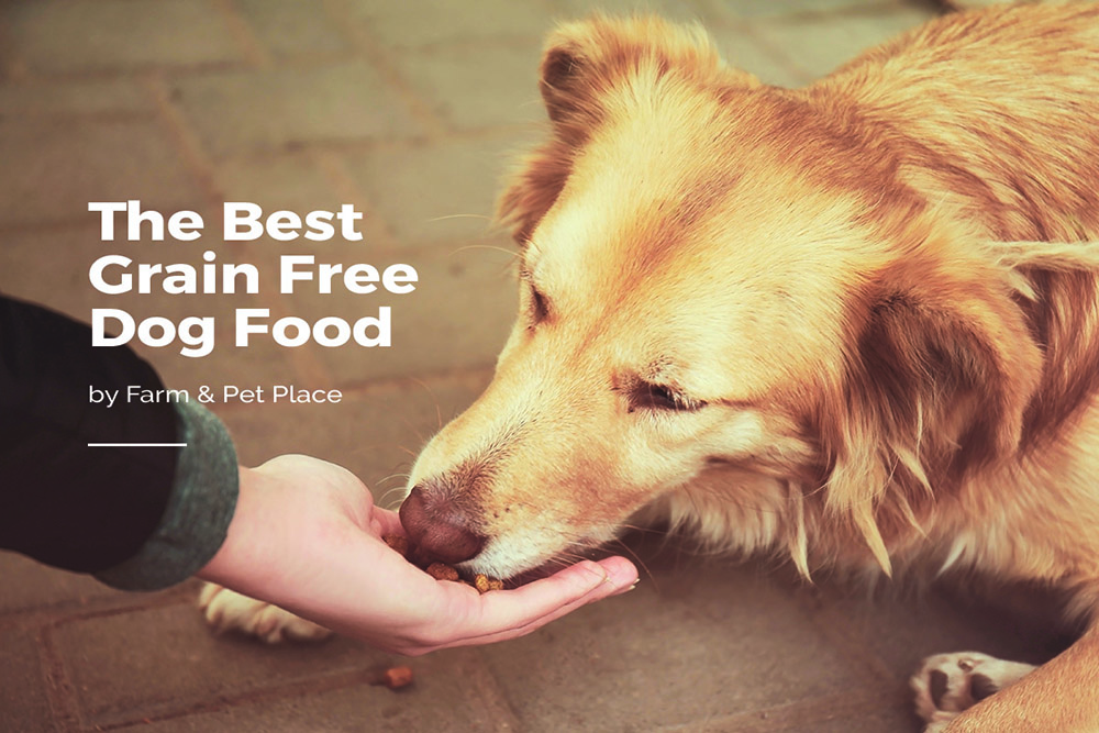 Best Grain Free Dog Food UK | Top No Grain Dog Food