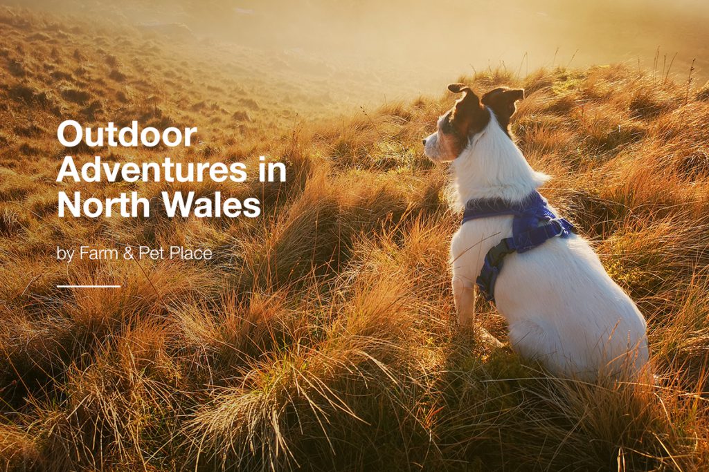 Outdoor Adventures In North Wales