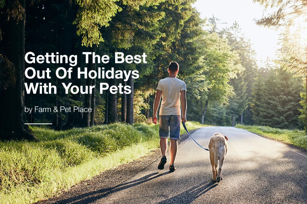 Getting The Best Out Of Holidays With Your Pets