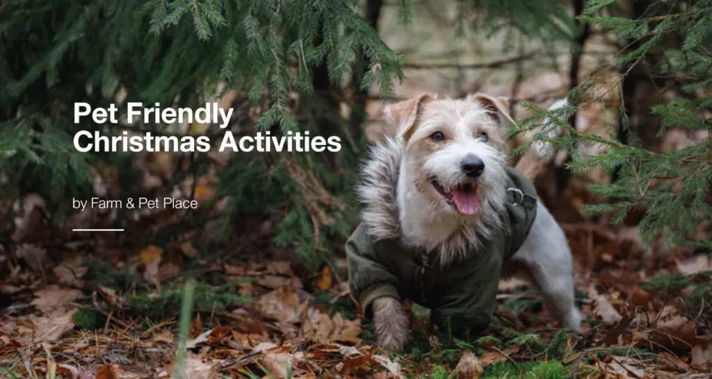 Pet Friendly Christmas Activities