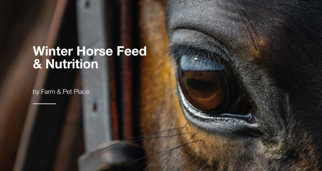 Winter Horse Feed & Nutrition